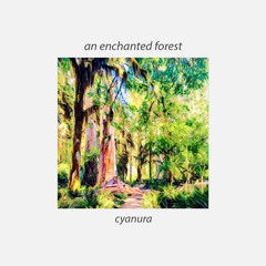 an enchanted forest