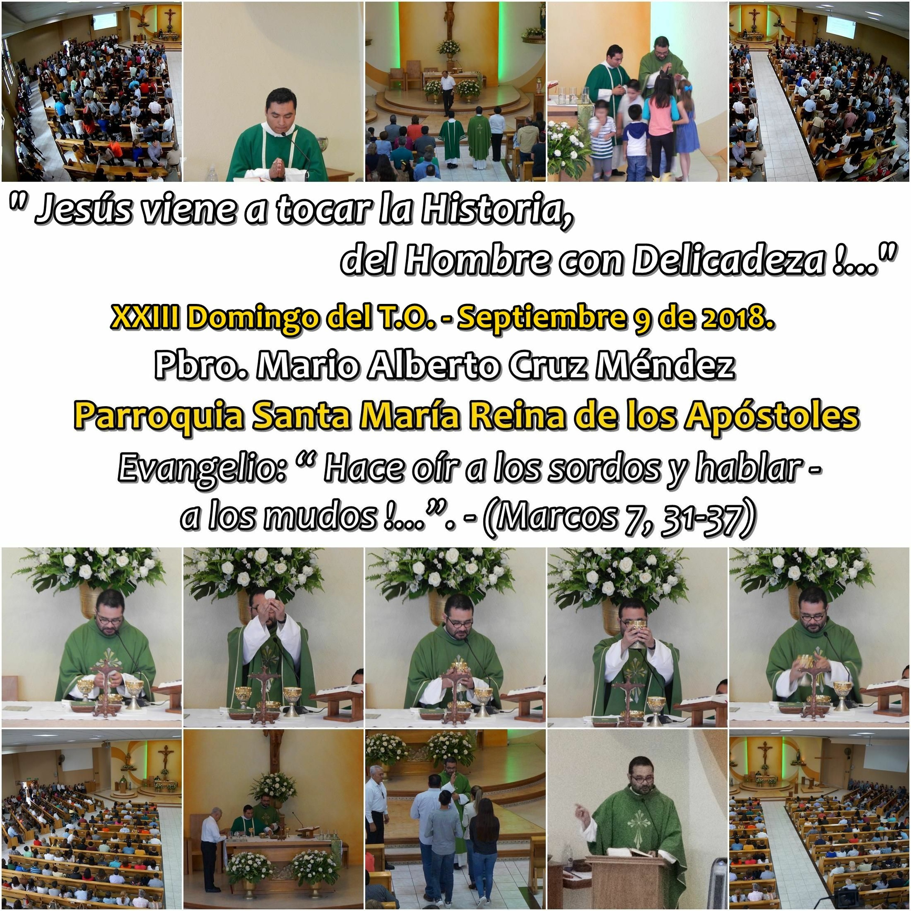 SAMARA_Saltillo #2019