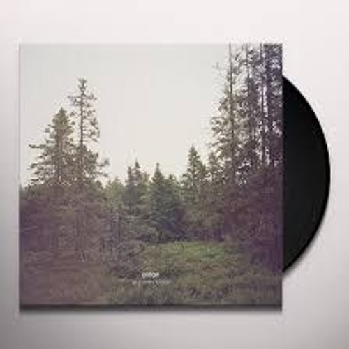 ambient