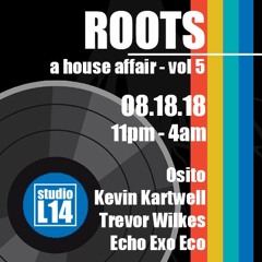 Roots V5 At Studio L14 Live mix - Osito