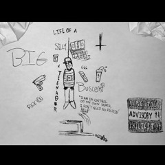 life of a silly young teenager (Shiloh - i dont trust nobody REMIX)