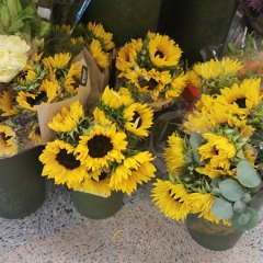 I Know A Place (cover) // Conan Gray