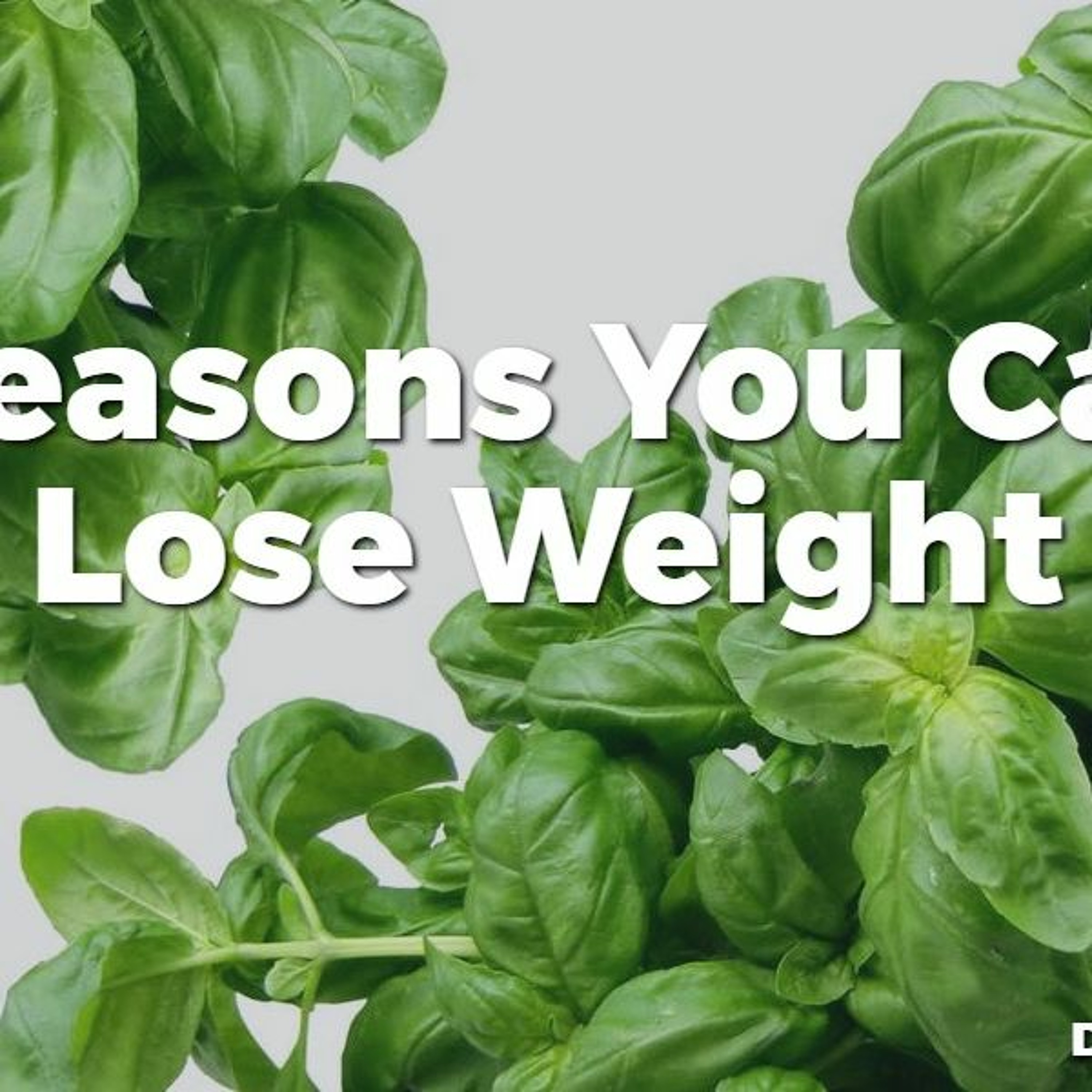 #35 5 Reasons You Can’t Lose Weight