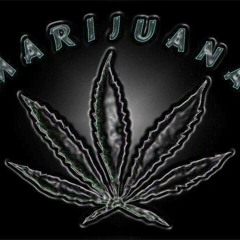 GET YOUR HIGH ON
