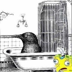 Crows In My Bathtub
