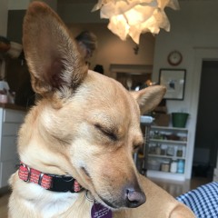 Take Me Away (single)