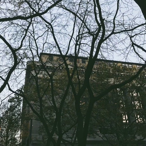 elijah who - that look in your eyes