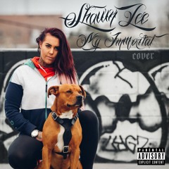 Shawn Lee - My Immortal Cover