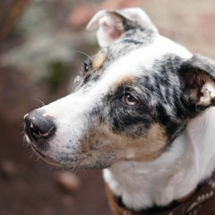 Got Away With Words (Prod. by Bassti)