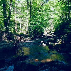 For U (Prod. By CloudDeath x Dumb Friends)