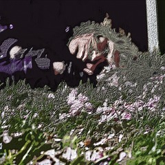 Into the Deep ( reinterpretation of Twisted Butterfly )