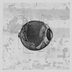 Premiere: SP-X - Crossed In Flight [Form and Function]