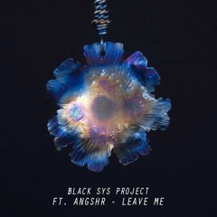 Black Sys Project Ft. ANGSHR - Leave Me