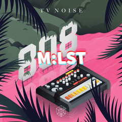 TV Noise vs. Tommy Jayden - 808 Switch (M:LST Mashup)