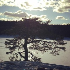 Vals Till Svårmodet (Waltz for melancholy)
