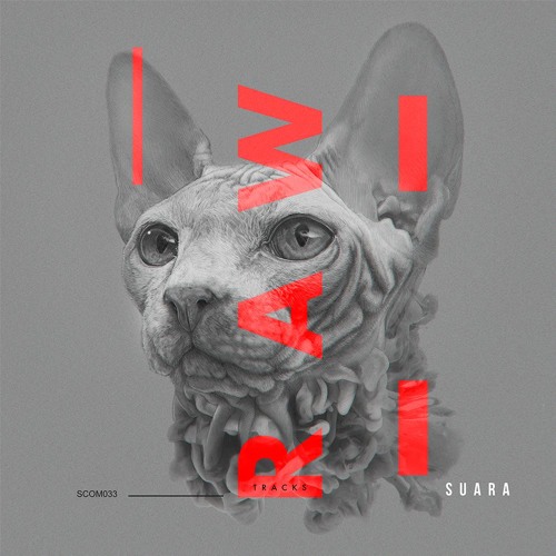 [SCOM033] Vinicius Honorio - Something Else (Original Mix) Snippet