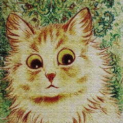 Nikkatze @ Picnic No Parque Do Ibirapuera : Virada Sustentável 2018