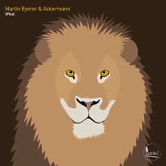Martin Eyerer & Ackermann - What (Markus Homm Remix)
