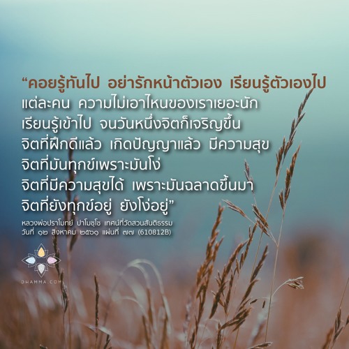 My Image 39