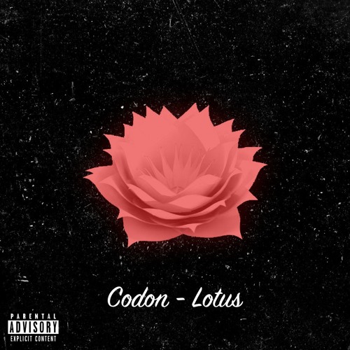 Lotus