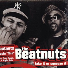 The Beatnuts - Off The Books (Apteryx remix)
