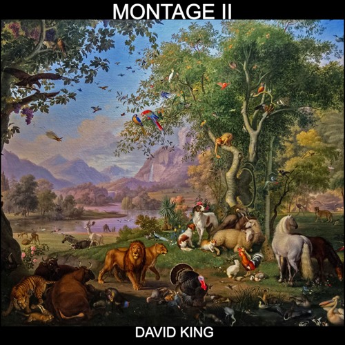 David King - Montage II