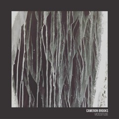 TRACK PREMIERE : Cameron Brooks - Final Solace