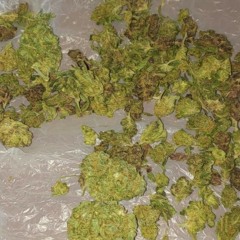 Champion - Dp Type Beat