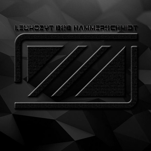 Leukozyt b2b Hammerschmidt @ Camouflage Open Air // Göttingen