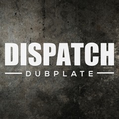 DLR - Looking In From The Outside - DISDUB011 (CLIP) - OUT NOW