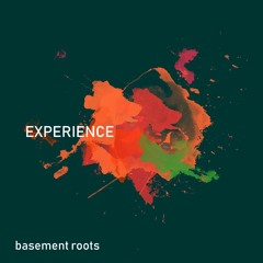 Groove Infection 11.09.2018: Basement Roots Live Session