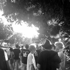 BITCH WANNA $$ (Prod. Guillermo)