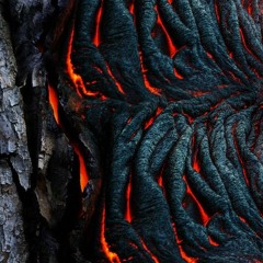Del Fuego