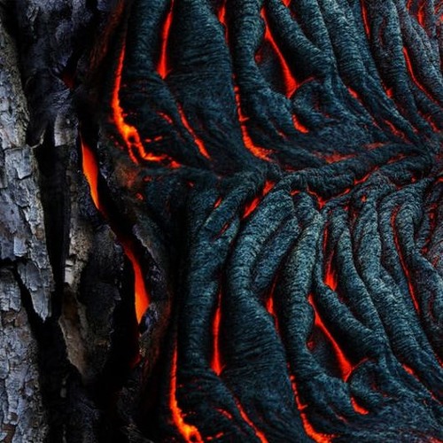 Del Fuego