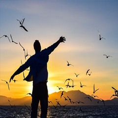 مشهد الخلاص
