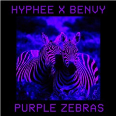 Hyphee x Benvy-Purple Zebras