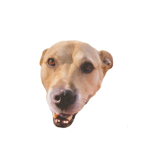 Belak - Free music on ToneDen