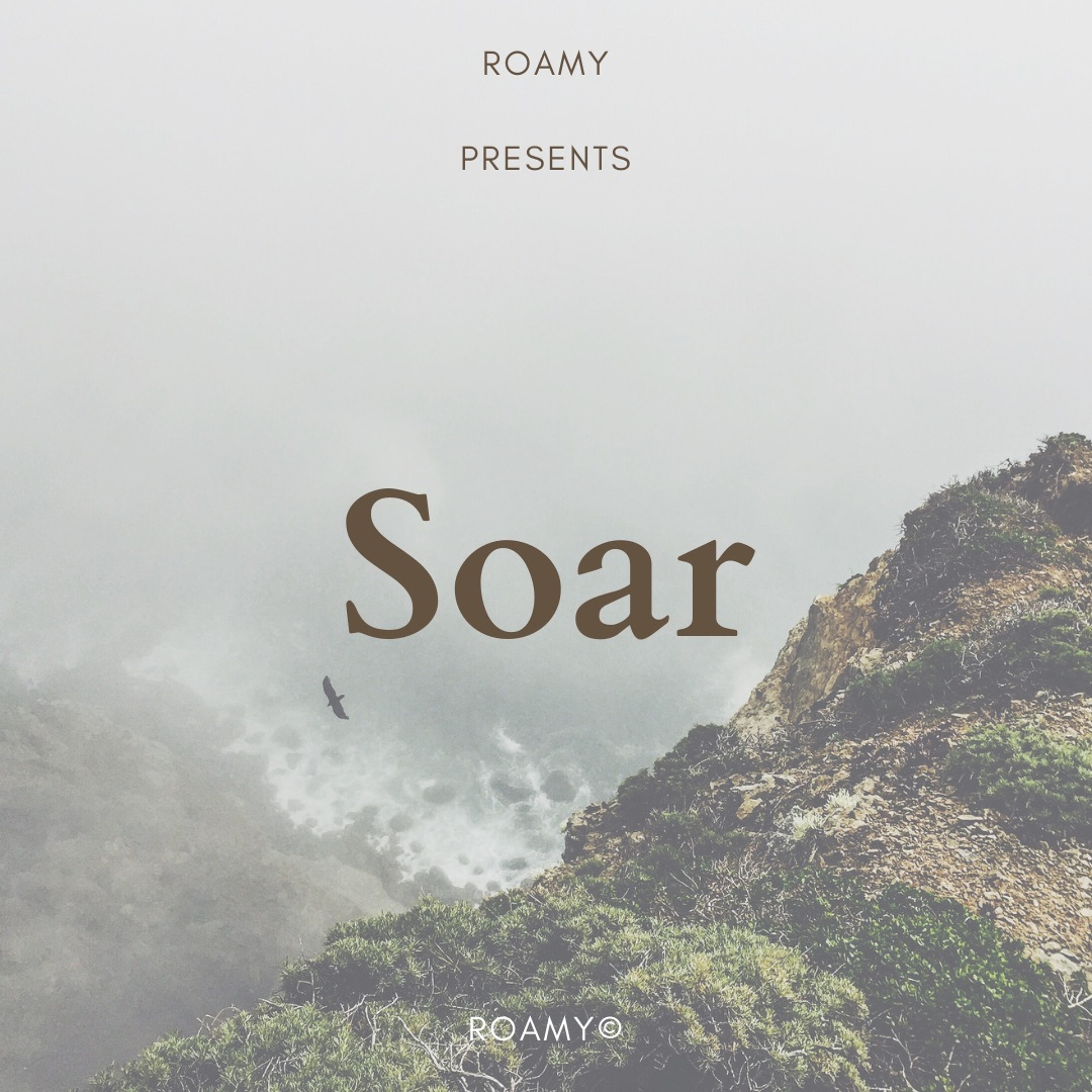 SOAR episode artwork