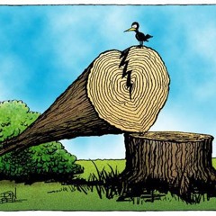 Kartier Ft Lil Masy - Tree Stump