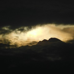 Systole concept - Dazisaac