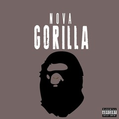 Nova - Gorilla