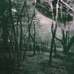 $HORT CONFE$$ION$ FT. t-choppa