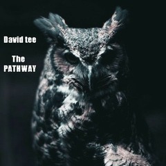David Tee -The Path Way