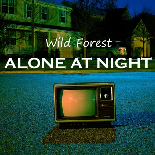 'Alone At Night' Soulful House Mix(Wild Forest 2018)