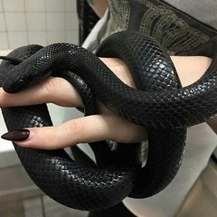 Snake Eyes