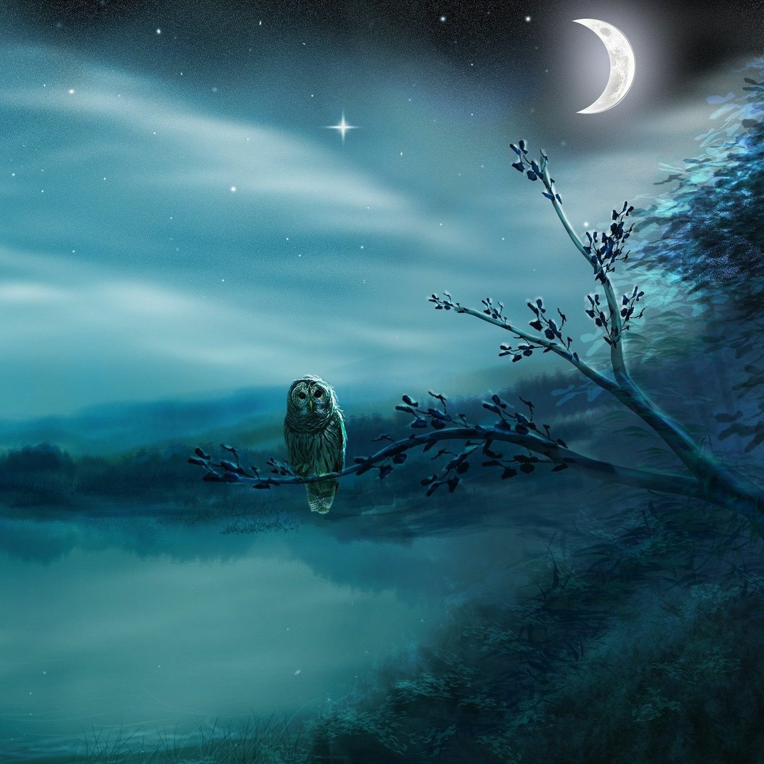 NightOwlzZ episode artwork