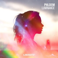DNB_L2