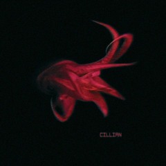 CIllian- Leave A Message After The Tone