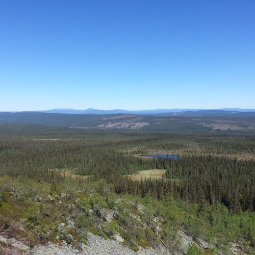 Spaze Unofficial - Jungle Farm