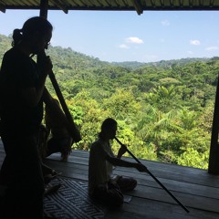 "Maloca", MIRI - PERMETIVO PRIMITIVO [2018]